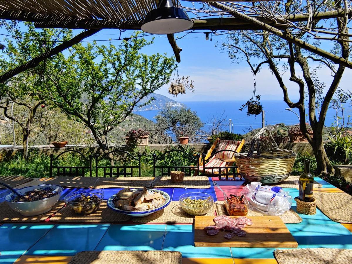 Amalfi Coast, Positano, Sorrento, Capri, Garden, Villa Carcara Colli di Fontanelle Exterior photo
